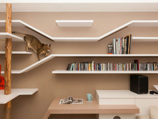 Pet-Centric Living: 17 Next-Gen Pet Design Ideas That Merge Comfort and Aesthetics