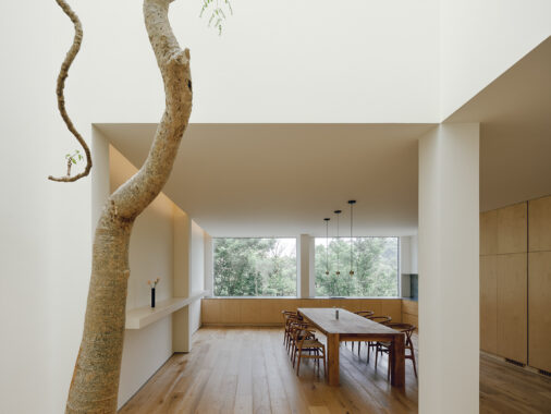 Life in the White & Wood Residence